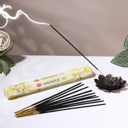Incense hem "Magnolia. Magnolia", 20 wands in the package, hexagon