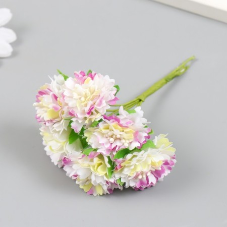 Flowers for decorating "Astra yellow-lilac" 1 bouquet = 6 colors 10 cm-1