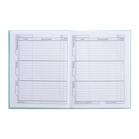 Universal diary for grades 1-11 of "Fragile tenderness", solid cover, glossy lamination, sparkles, 40 sheets-7
