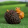 Garden figure "Squirrel on the bump" 14x12.5x18cm