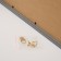 Photo frame plastic in 5 photos 9x13 cm "House" with clothespins, black 60x40x2 cm