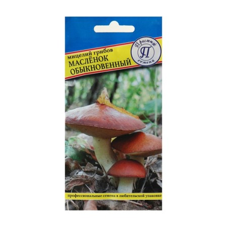 Mycelium mushrooms are common, 50 ml