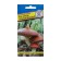 Mycelium mushrooms are common, 50 ml