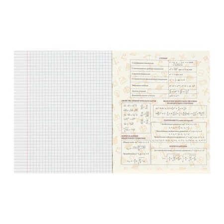 A set of object notebooks Calligrata TOP "Anime", 48 sheets, 10 items, with reference material, cover coated cardboard, twin-lame + selective UV-lak, OFSET BOCom-11