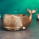 Steam for the little things "Kit" 22x13cm, bronze