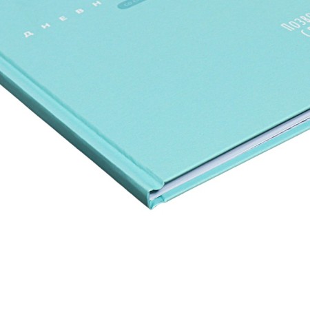 School diary for grades 1-11, "turquoise", covered paper cover, hard binding cardboard 7BC, matte lamination, universal cheat sheet, 48 sheets, block 65g/m2-2
