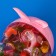 Dessert Zhelynaya "Davi jelly!", Rabbit, 13 g