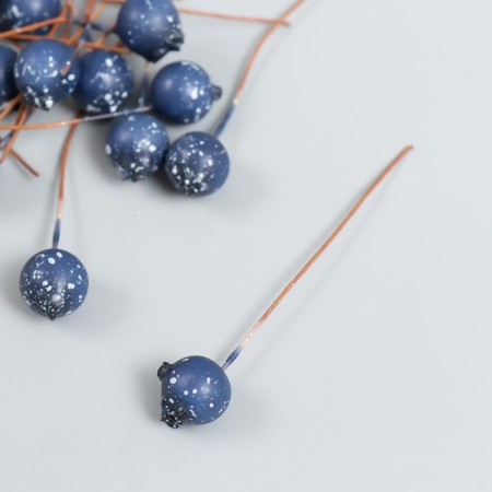 Decor for creativity "Berry - Blue" Blue D = 1 cm set 30pcs-1