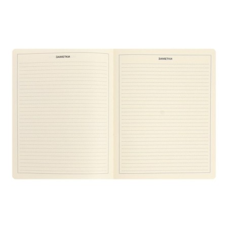 Diary Artificial leather 1-11 grade, 48 sheets, cage, hard cover, Schoolmix. Panda, rounded angles, block 70g/m²-10