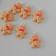 Suspension for creativity plastic "Funny gingerbread" 2.7x2x0.6 cm
