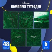 A set of notebooks of 5 pieces, 48 ​​sheets in the Calligrata Emerald Cage, Cover Cardboard Cover, Block No. 2, Beloven 75% (Gray Sheets)
