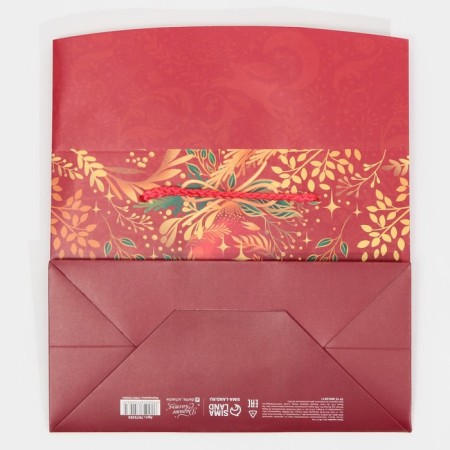 Gold Package Corps, 23 x 18 x 11 cm, New Year-8