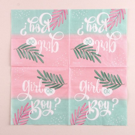 Napkins "Girl or Boy", 25x25cm, set of 20 pcs.-2