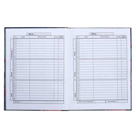 Universal Grade 1-11 Diary, 48 Graffiti sheets, integral cover, matte lamination, selective UV-fluid, congructor-7
