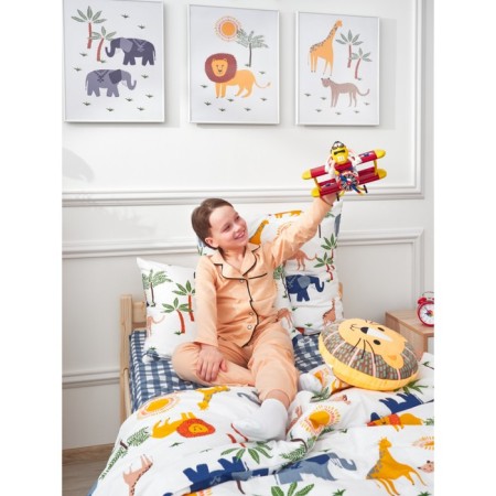 Bed linen 1.5 joint venture limpopo, size 150x214 cm, 143x215 cm, 70x70 cm-16