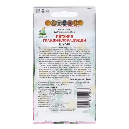 Grandiflora flowers "Daddy Shugar" 10 pcs-1