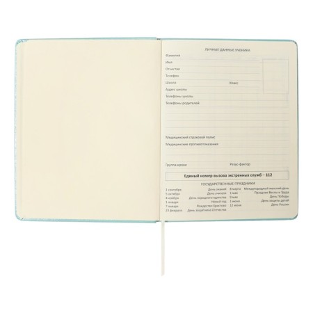 Universal diary for grade 1-11 Leaf, solid cover, artificial leather, foam, embossing foil, liesse, 80 g/m2-3