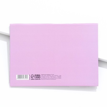 Folder for birth certificate "Anna", A5-1