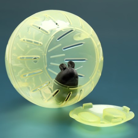 Ball for rodents 12 cm, yellow-2