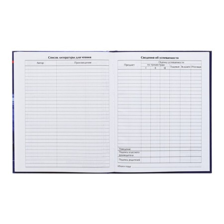Diary for grades 5-11, 48 sheets "Racing", hard cover, glossy lamination-7