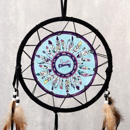 Dreams "Multi -colored feathers" d = 20 cm-2
