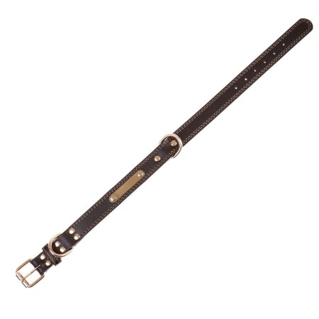 A collar with a gilded sign and fittings, 55 x 2.5 cm, brown-3