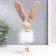 Polystone souvenir "Zayushka with a bow in a downy skirt" 27x5.8.8 cm