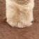 Complex for cats with a claw, collapsible, with a hammock, 33 x 76 x 105 cm, beige