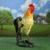 Garden figure "Spanish Rooster" 40x22x53cm