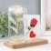 Photo frame 9x13 cm Light "Holography. Rose in a flask" from batteries 2xlr1130 9.8x19.5x18 cm