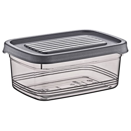 Festiva Hobbylife container, 500 ml, mix color