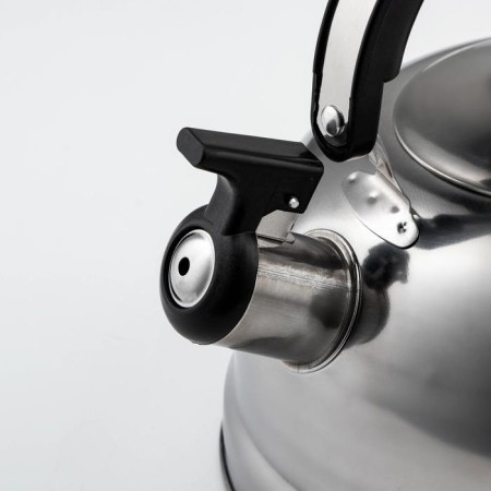 A kettle with a stainless steel whistle "family", 2.5 l, chrome -colored color-1