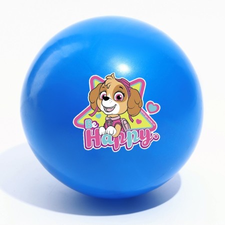 Children's ball PAW PATROL "HAPPY", 16 cm, 50 g, MIX color-2