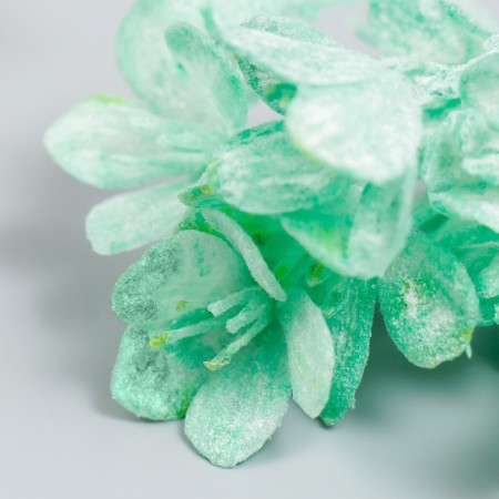 Decor for creativity "Kalanchoe azure" 16.5 cm-2