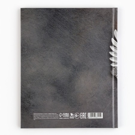 School diary 5-11 grade, in a solid cover, 48 liters. "Russia"-5