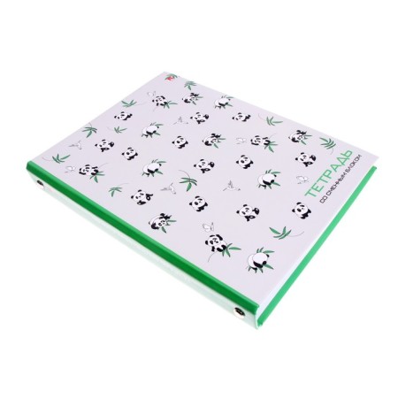 Notebook on rings, 160 sheets in the panda cage, solid cover, glossy lamination, with a change of block-4