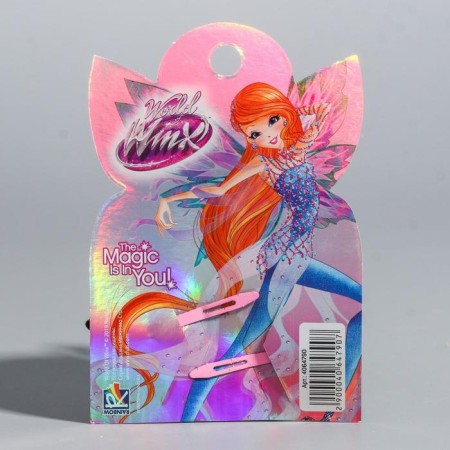 Hair hair clip, 2 pieces Winx-3