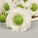 Artificial flowers "terry hibiscus" 82 cm, white