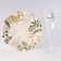 Set of dishes "Nature", glasses 6 pcs., Plates 6 pcs.