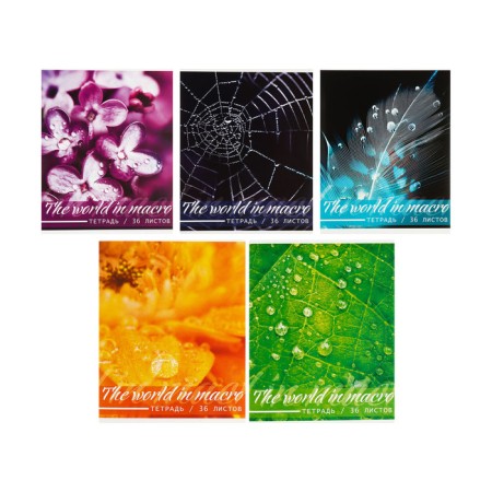 A set of notebooks of 5 pieces, 36 sheets in the Calligrata Micromium cage, covered cardboard, offset unit-2