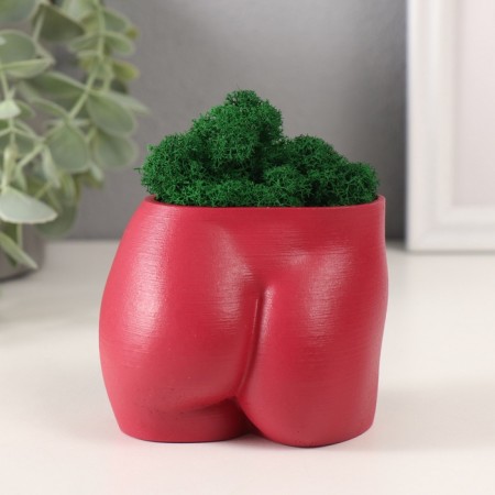 Concrete Kashpo "innocent view" height 6.5 cm, width 8.5 cm wine with moss (moss green. Stabiliz 1041207-2
