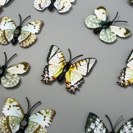 Magnet Plastic "Butterfly Single Wings White" 4.5 cm-1