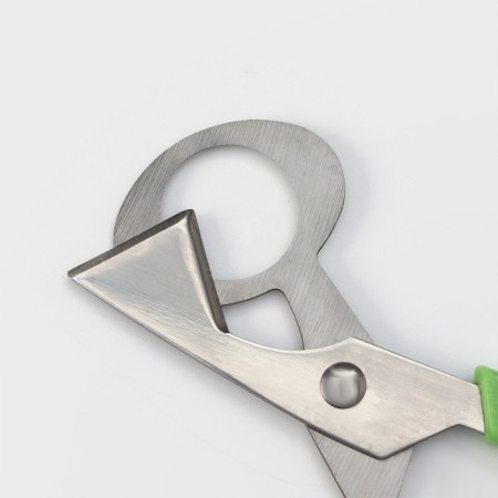 Scissors for quail eggs of the share, 14 × 6 cm, green color-3