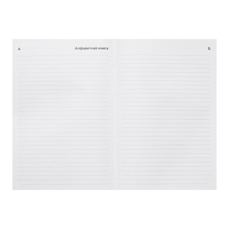 Dated diary of 2024, A5, 176 sheets, Attomex.arkona, Bumvinyl cover, Lasse, Block 70 g/m2, blue-10
