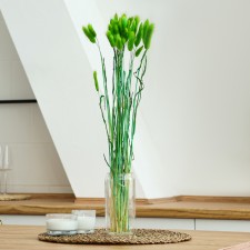 Dry -flowers 