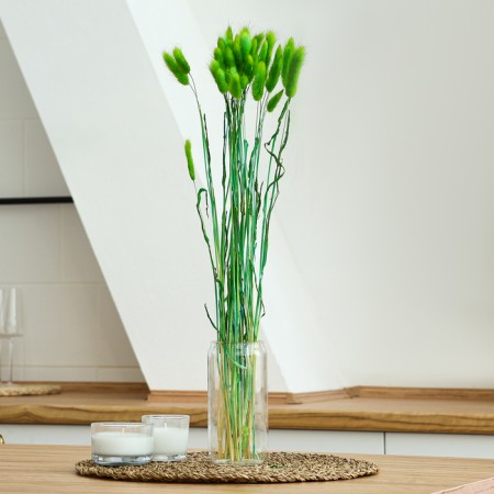 Dry -flowers "Lagurus", set of 30 pcs., Green color