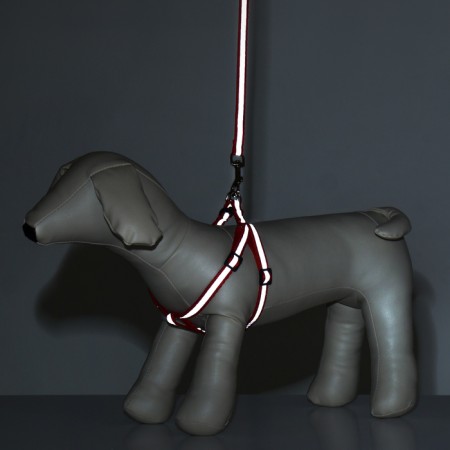 Sports set a reflective, leash 120 x 1 cm, fire 23-35 cm, red-9
