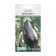 Eggplant F1 Seeds Eurosemena Early Ned, compact, without bitterness