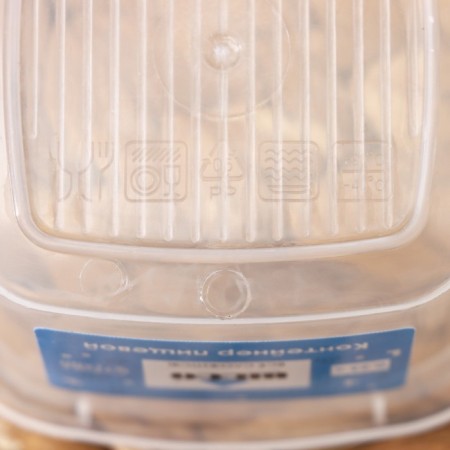 Food container Ricco, 230 ml, 9.6 × 9.6 × 5.2 cm, square, transparent color, blue cover-5