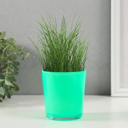 Set for growing plants "grow grass" green-2